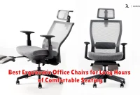 Best Ergonomic Office Chairs for Long Hours of Comfortable Seating