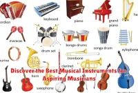 Discover the Best Musical Instruments for Aspiring Musicians