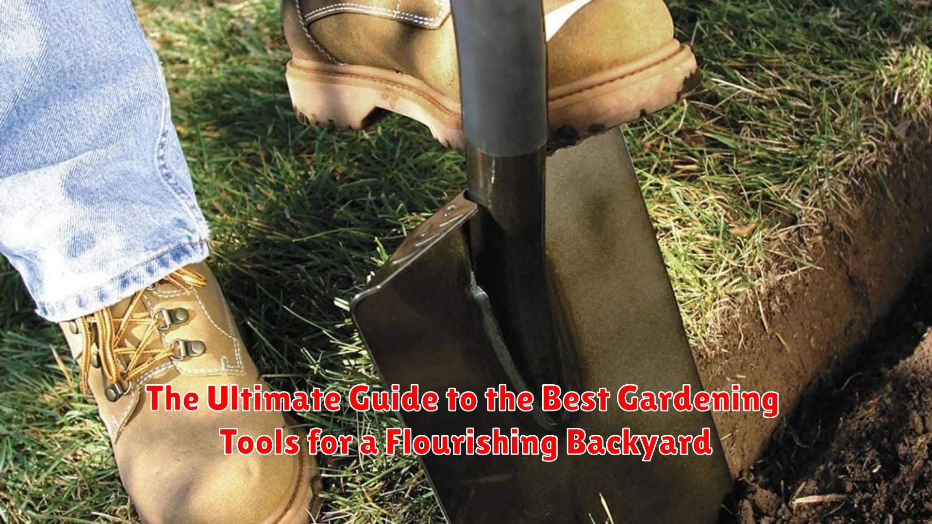 The Ultimate Guide to the Best Gardening Tools for a Flourishing Backyard